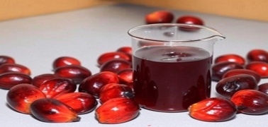 น้ำมันปาล์มดิบ (CPO) คุณภาพสูง สำหรับอุตสาหกรรมอาหารและพลังงาน