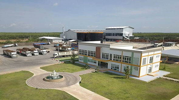 โรงงานผลิตน้ำมันปาล์ม